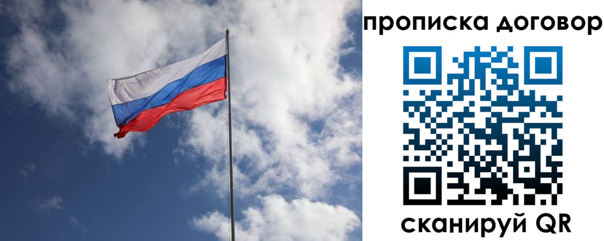 прописка поиск в Краснозаводске